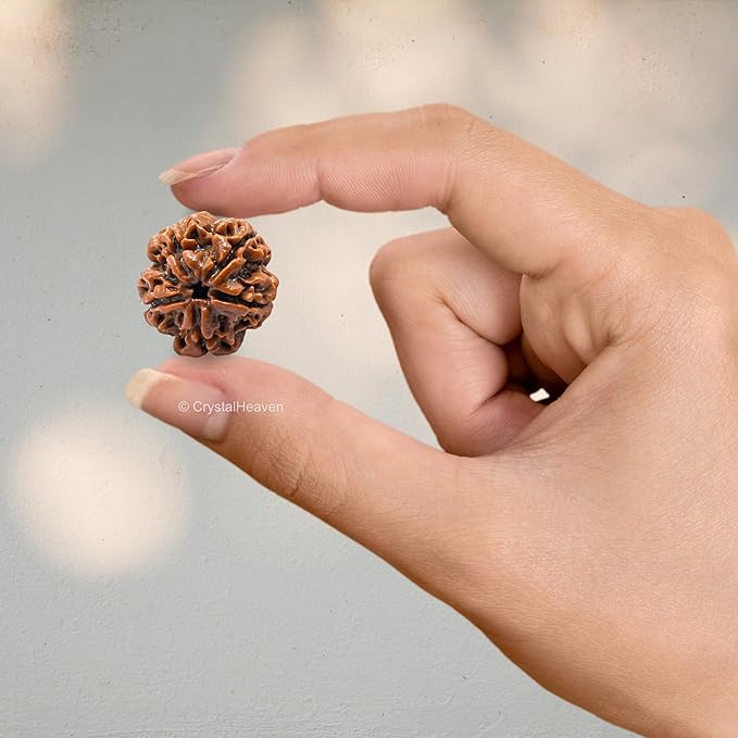 Original 5 Mukhi Rudraksha Bead – Natural & Certified